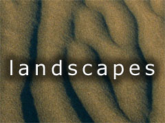 landscapes gallery