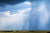 Mara Rain Shower